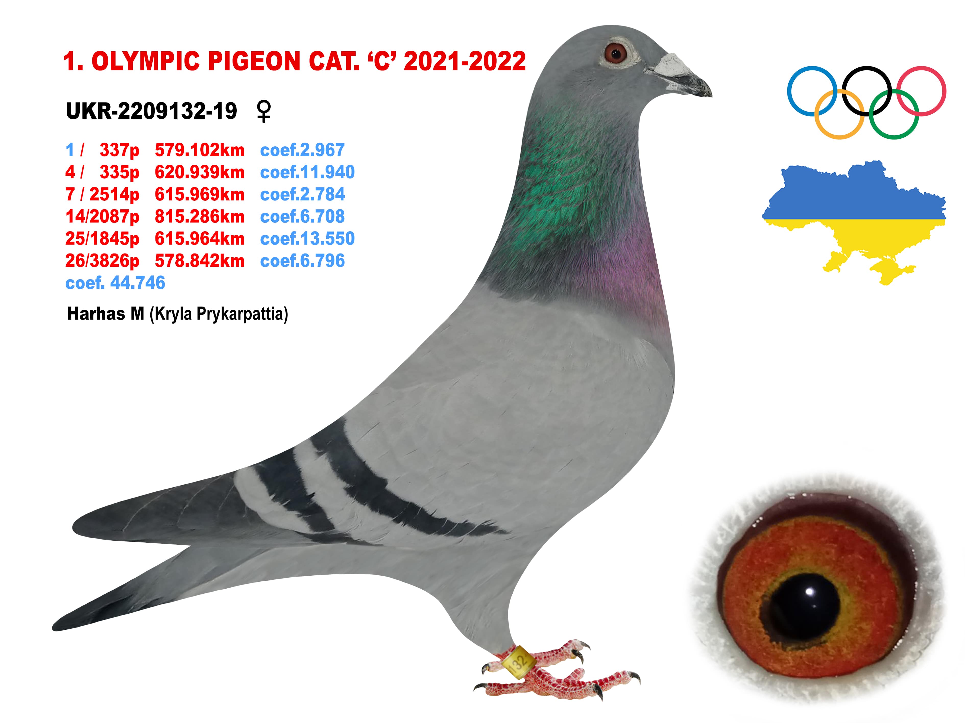 2022-C1